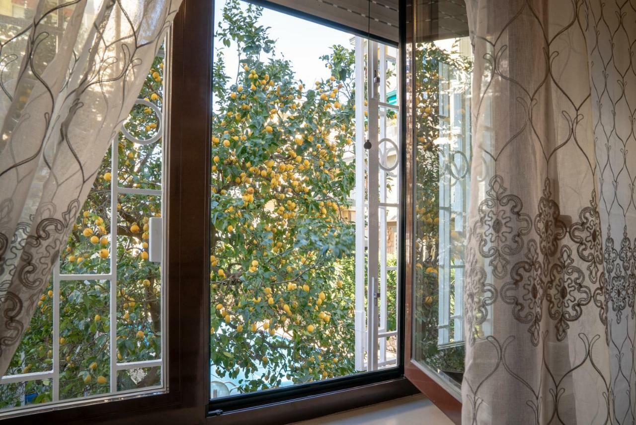 Il Quadrifoglio Sorrento Villa Exterior photo